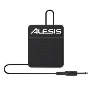 1567425542747-Alesis ASP1 Universal Keyboard Sustain Pedal.jpg
